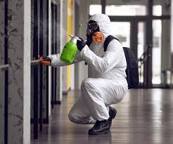 Why You Should Choose Our Mold Remediation Services in Plainfield, IN